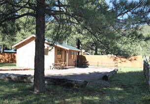 willow-cabin