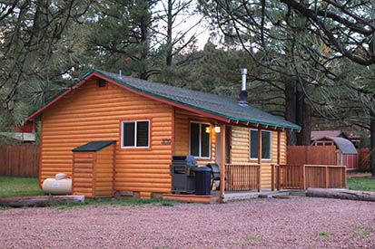 Willow Cabin