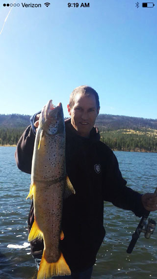 big brown trout greer az