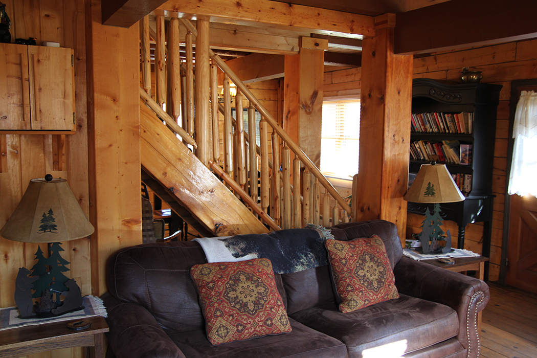 Family room with hide-a-bed couch
