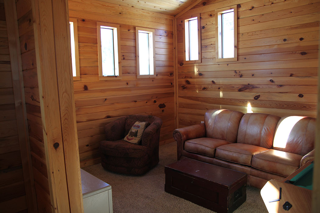 Game room with sleeper sofa